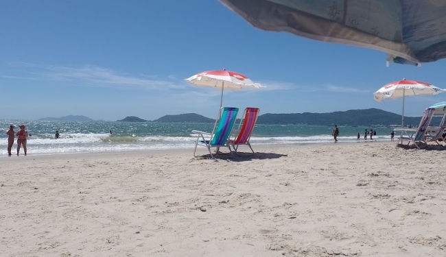CANASVIEIRAS AREO DESDE ROSARIO