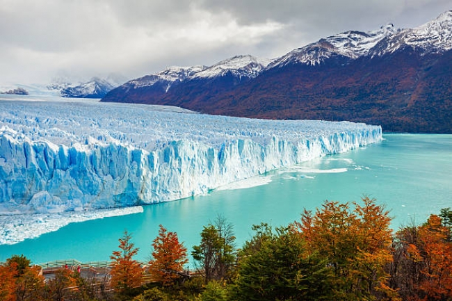 CALAFATE EN PROMO