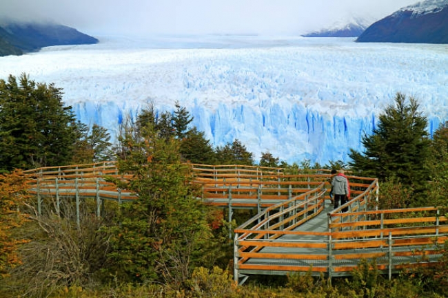 CALAFATE EN PROMO