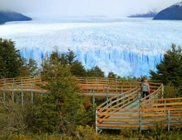 CALAFATE EN PROMO